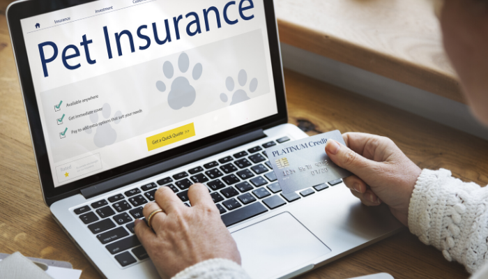 Navigating Pet Insurance