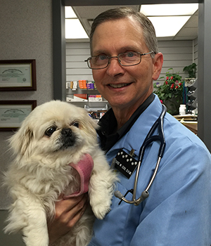 Dr. Bruce Cox and a canine friend at Northside Animal Hospital