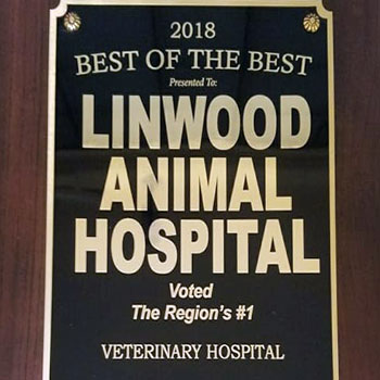 Linwood Animal Hospital's award