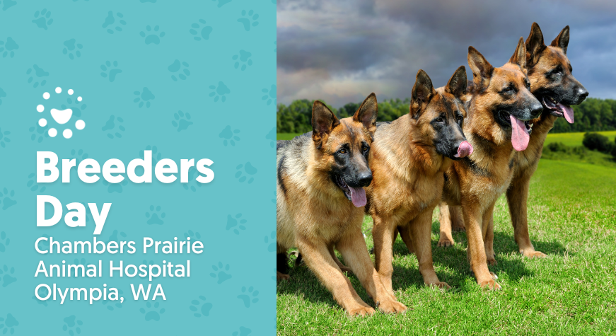 Chambers Prairie Hospital: Supporting Local Breeders