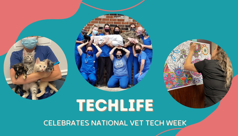 TechLife Celebrates National Vet Tech Week