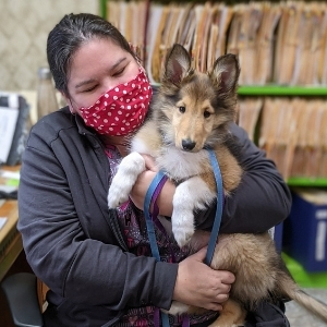 Basin Run Animal Hospital