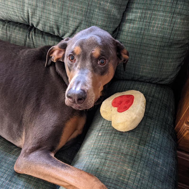 Animal Hospital at West Ridge