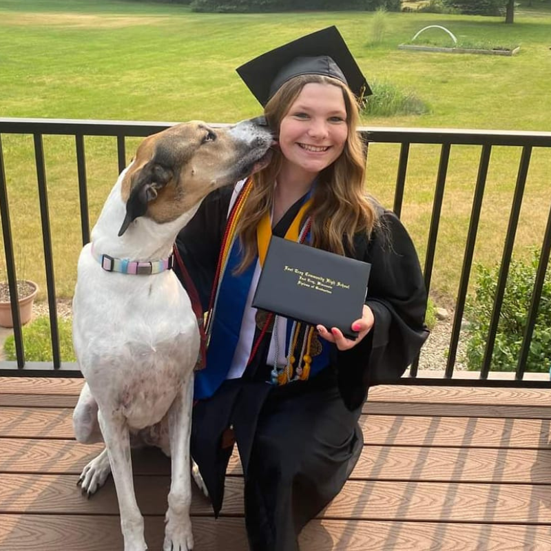 Bayview Veterinary Clinic