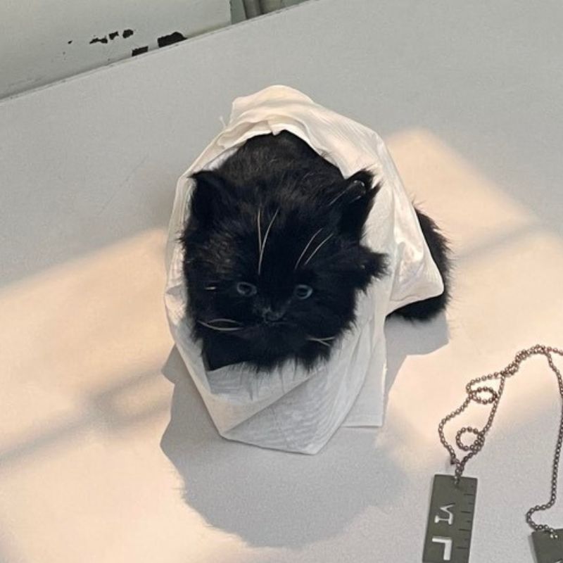 Country Veterinary Clinic