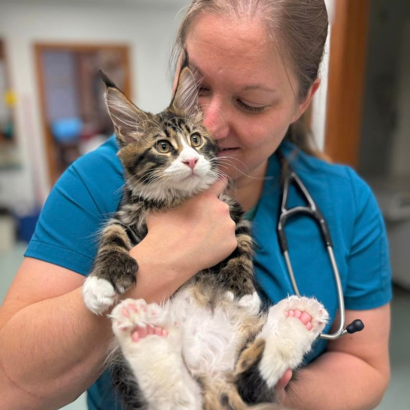 Bradford Hills Veterinary Hospital