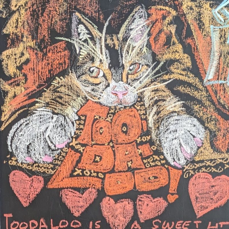 Central Animal Hospital