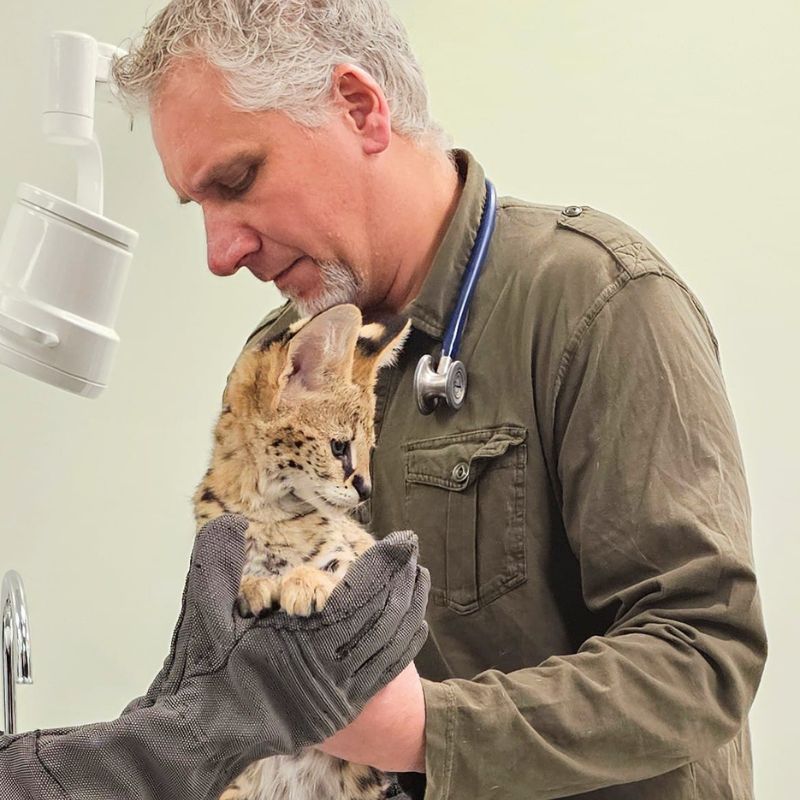 Countryside Veterinary Medical Group