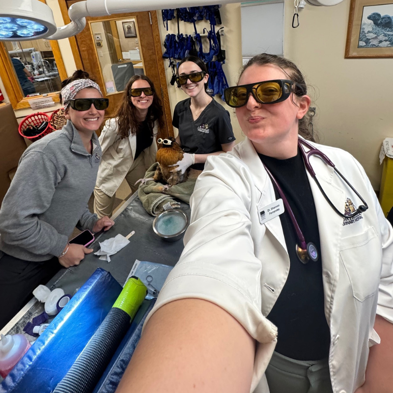 Countryside Veterinary Hospital