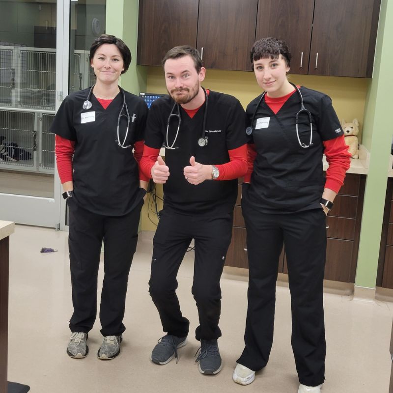 Grace Animal Hospital