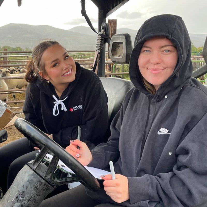 Wasatch Animal Clinic