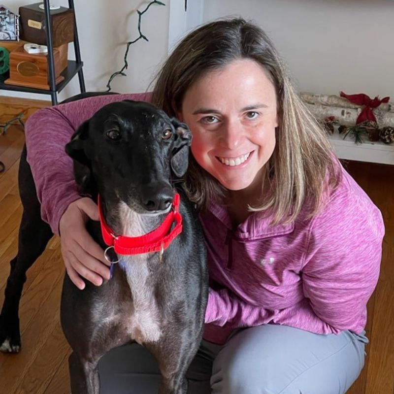 Ponemah Veterinary Hospital