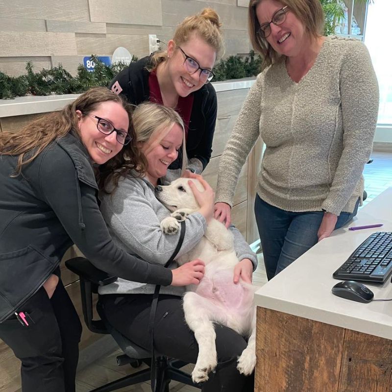 Dunnville Veterinary Clinic