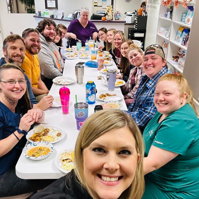 Animal Hosptial at the Crossing