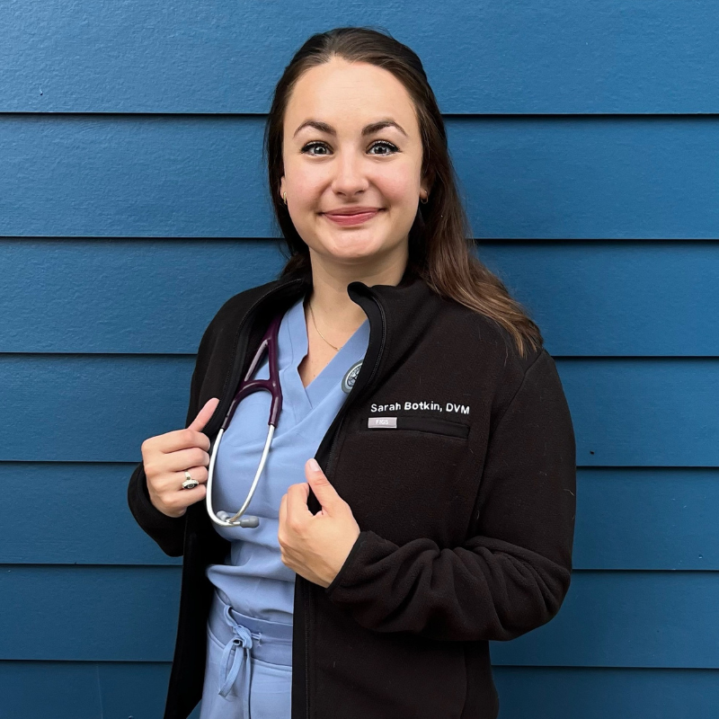 Appalachian Animal Hospital