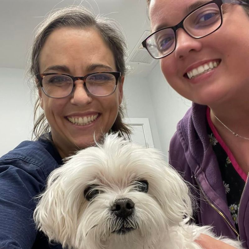 Earlysville Animal Hospital