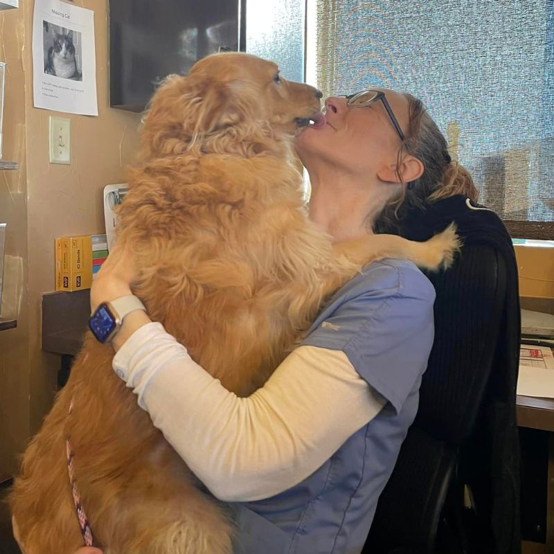 Lantana Animal Hospital