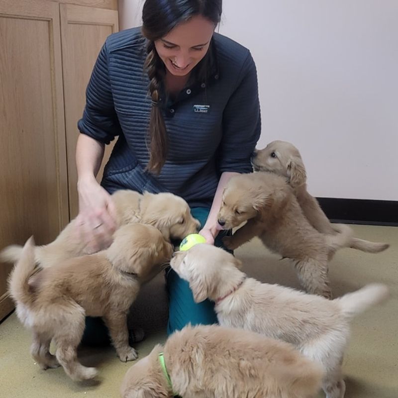 Tender Touch Veterinary Hospital