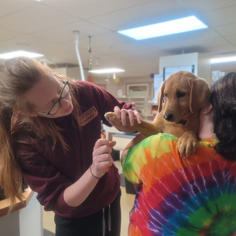 Tender Touch Veterinary Hospital