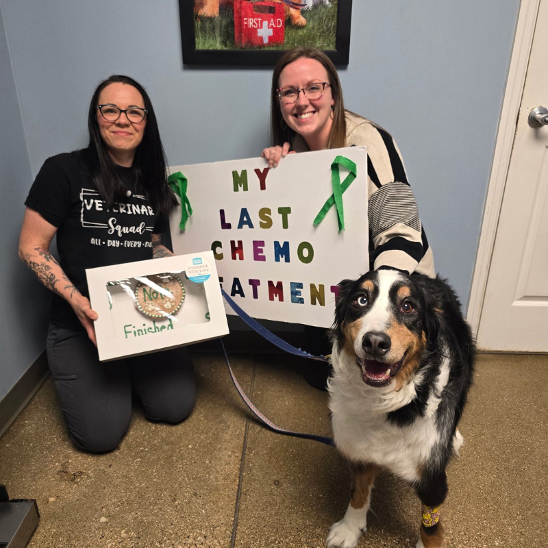 Advantage Veterinary Center