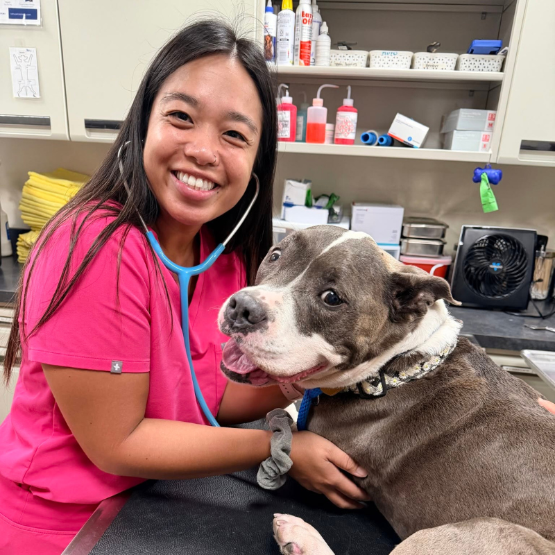 Ali'i Animal Hospital and Resort