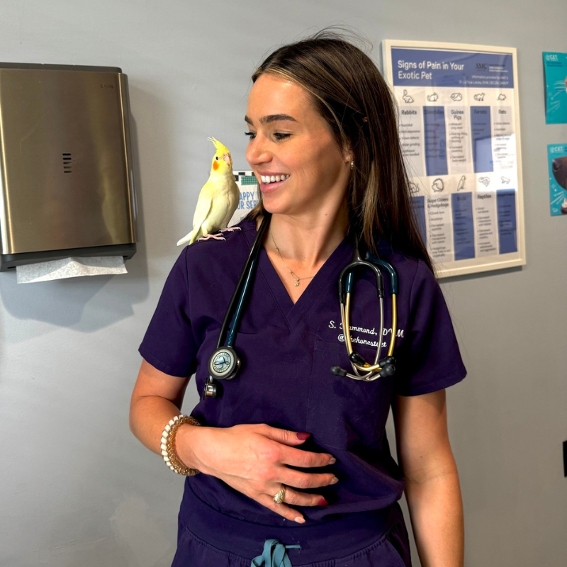 All Creatures Veterinary Clinic