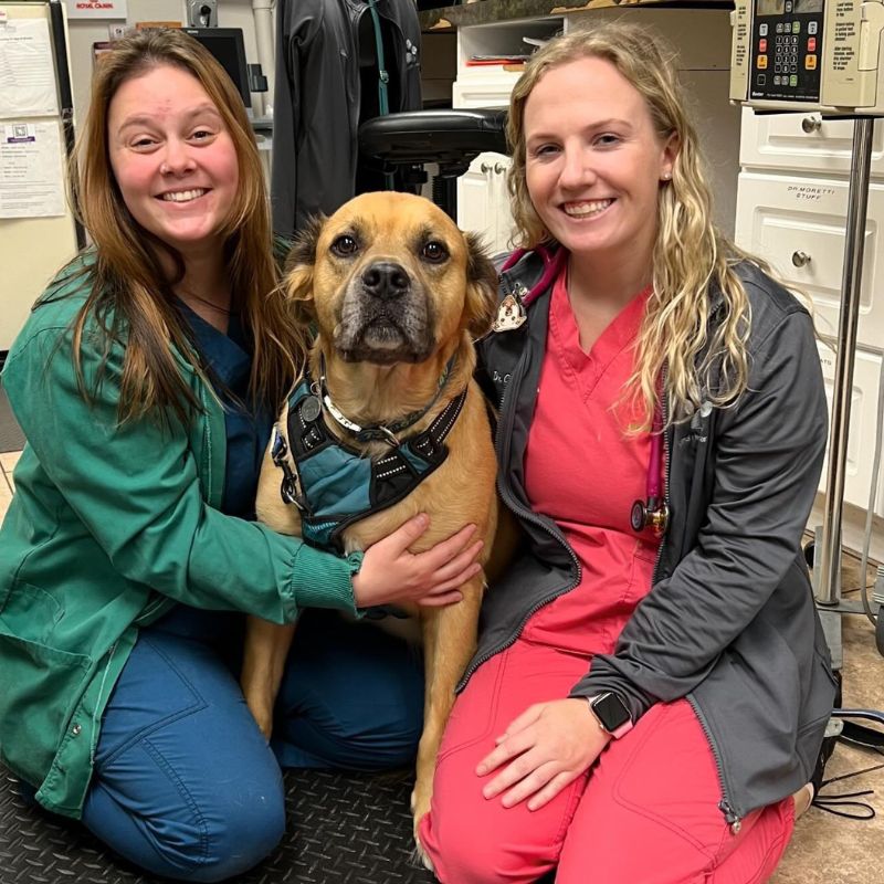 Animal Health Care Clinic