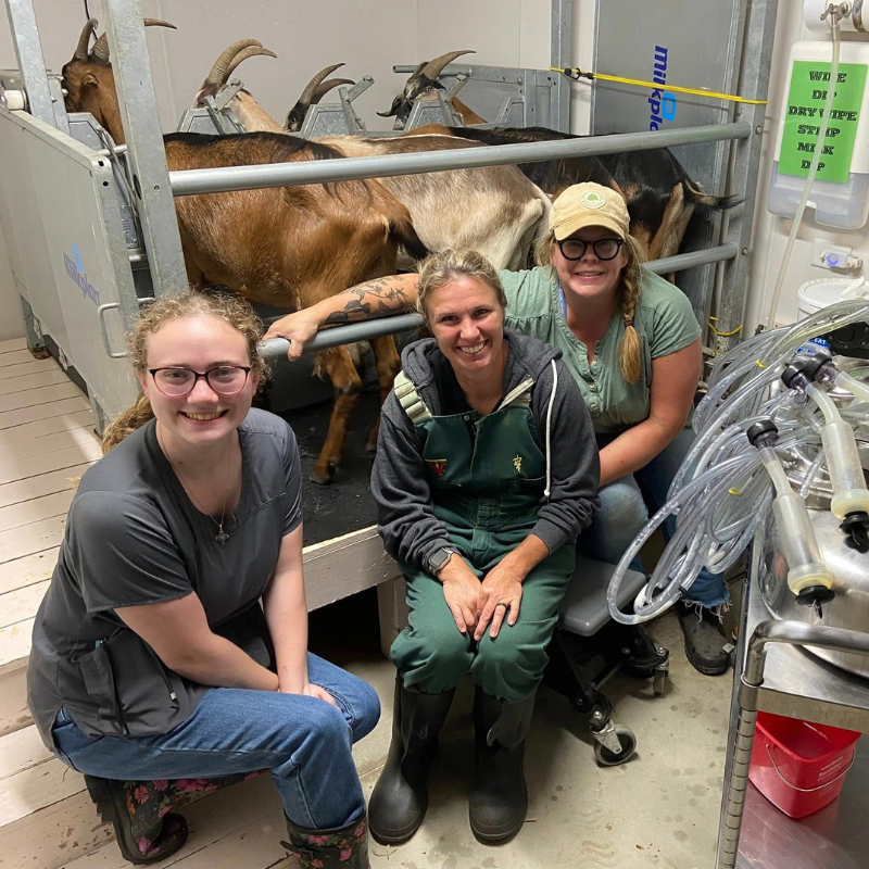 Berrien Veterinary Services