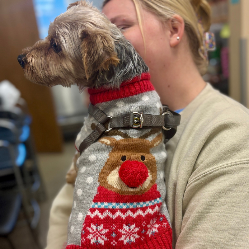 Boulevard Animal Hospital