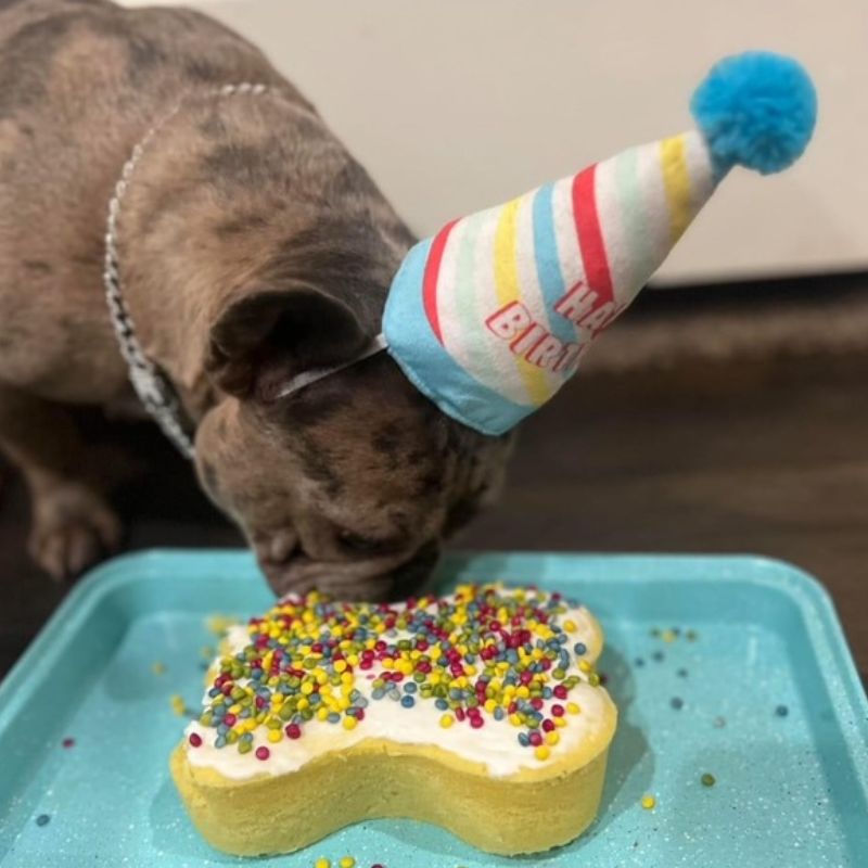 Ceres Veterinary Clinic