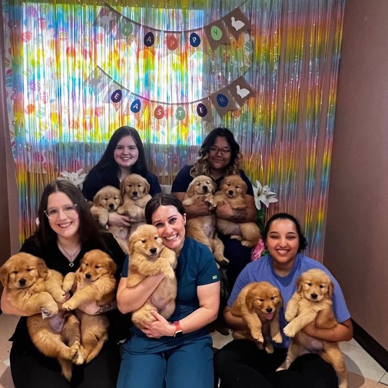 Cold Springs Animal Hospital