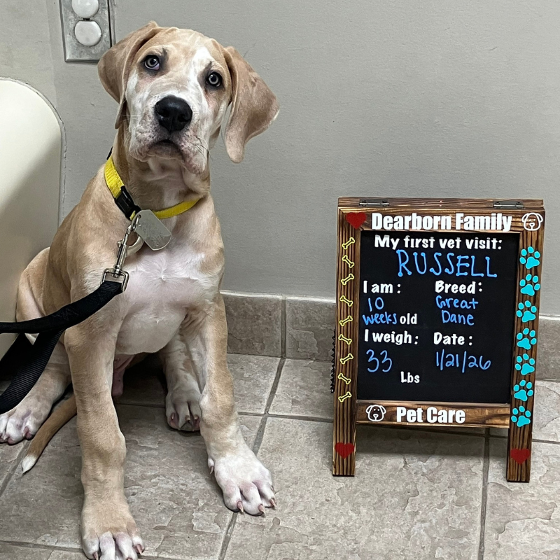 Dearborn Family Pet Care