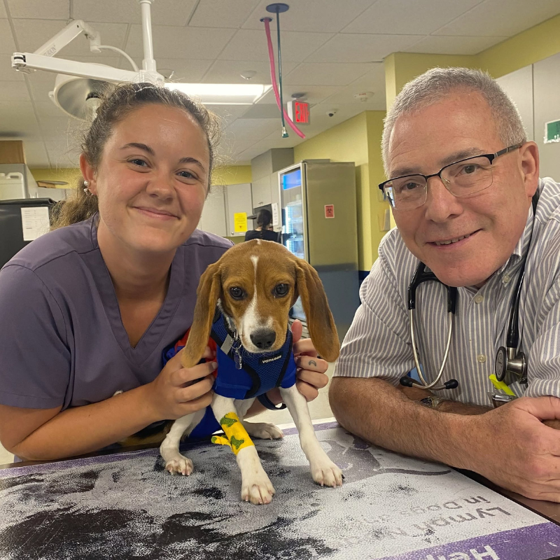 Dove Creek Animal Hospital