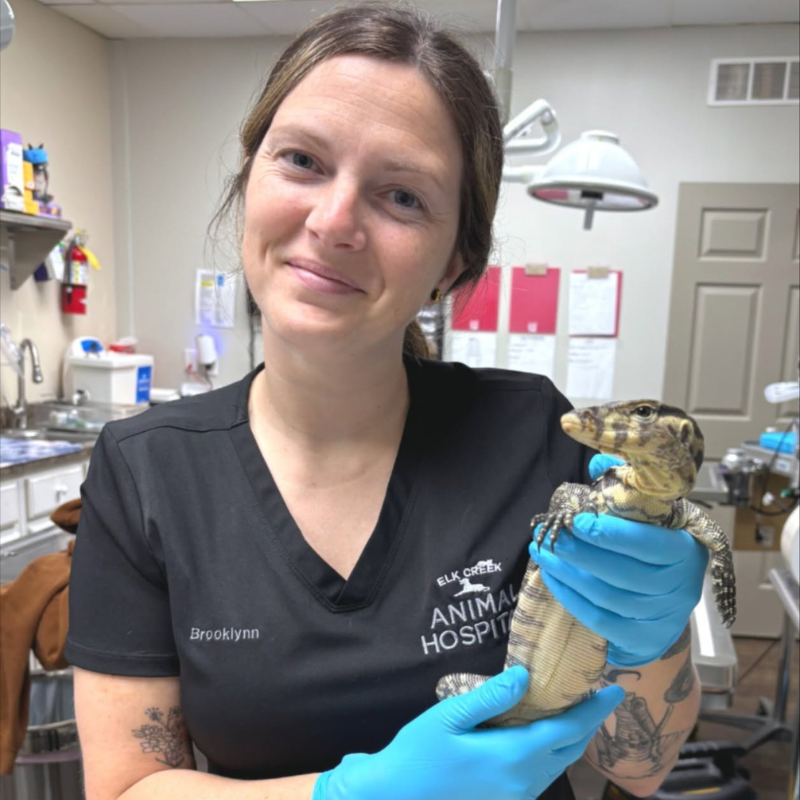 Elk Creek Animal Hospital