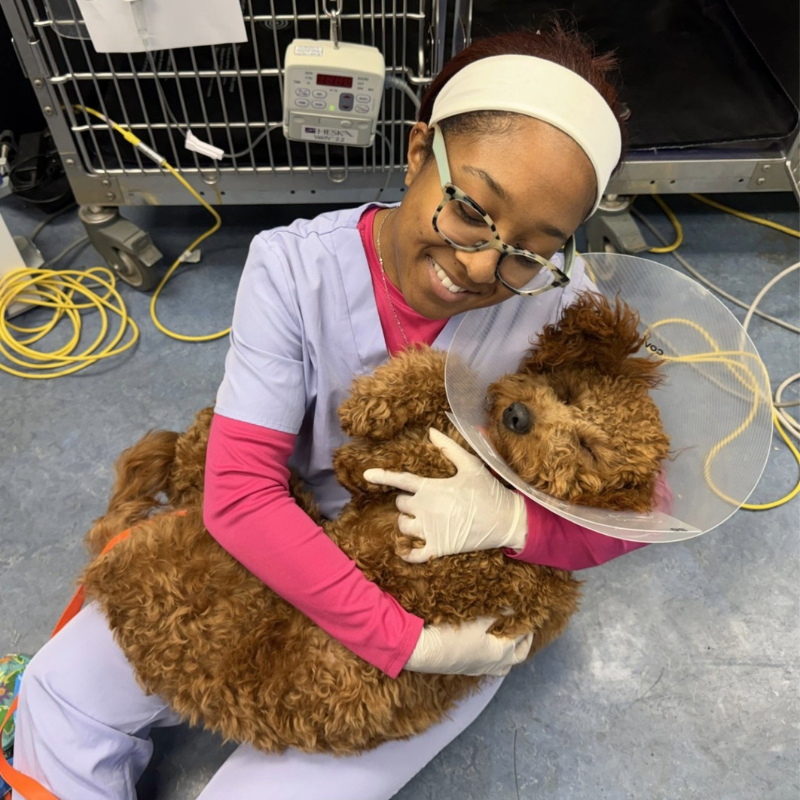 Goosepond Animal Hospital