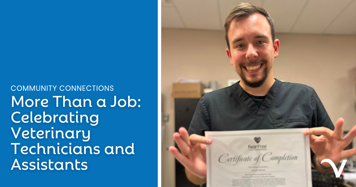 More Than a Job: Celebrating Veterinary Technicians and Assistants