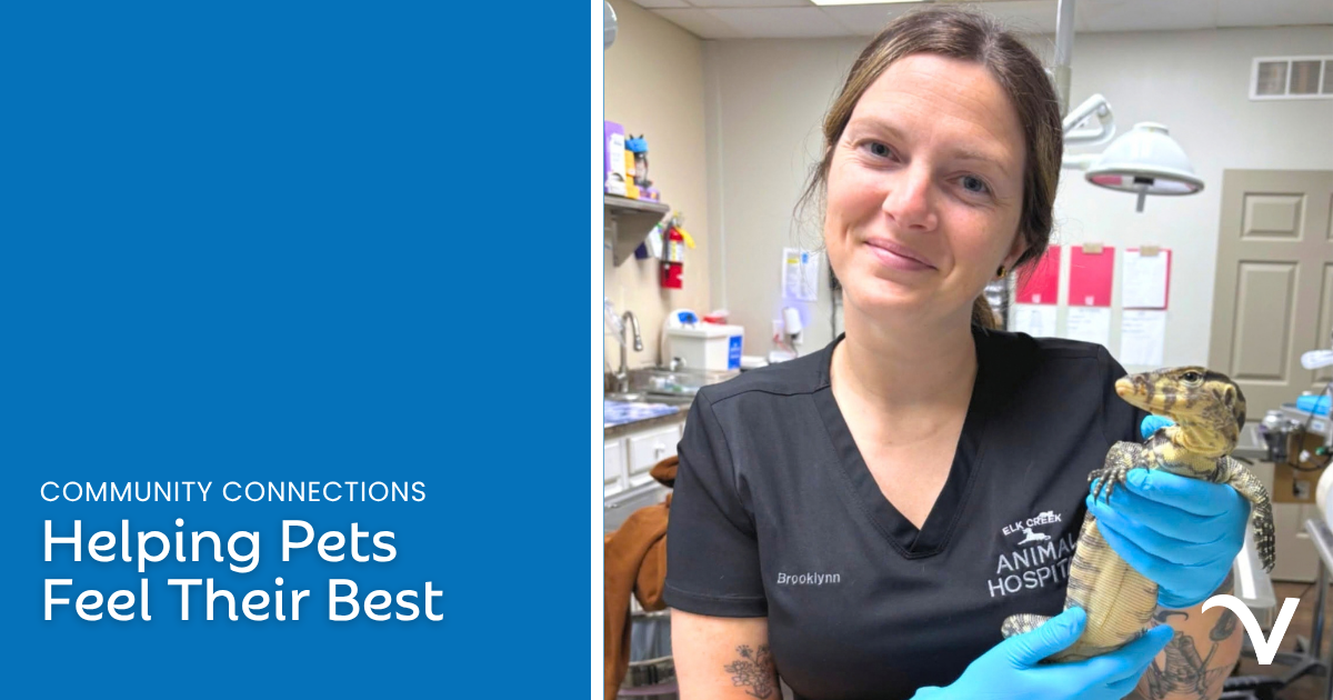 Helping Pets Feel Their Best