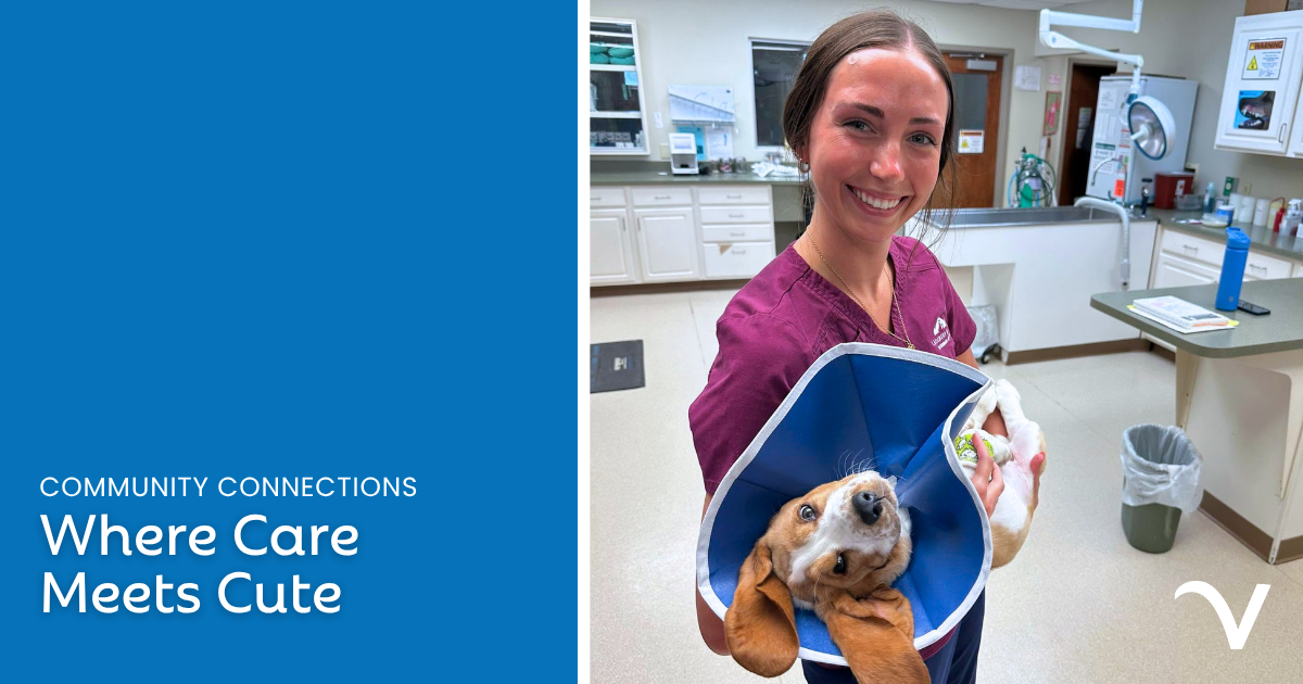 Where Care Meets Cute