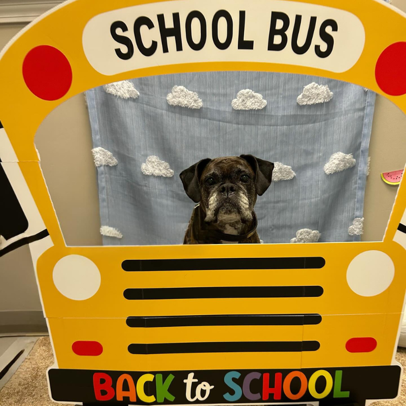 Health and Wellness Animal Hospital