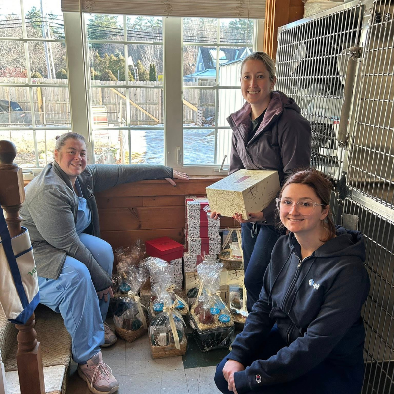 Health & Wellness Animal Hospital