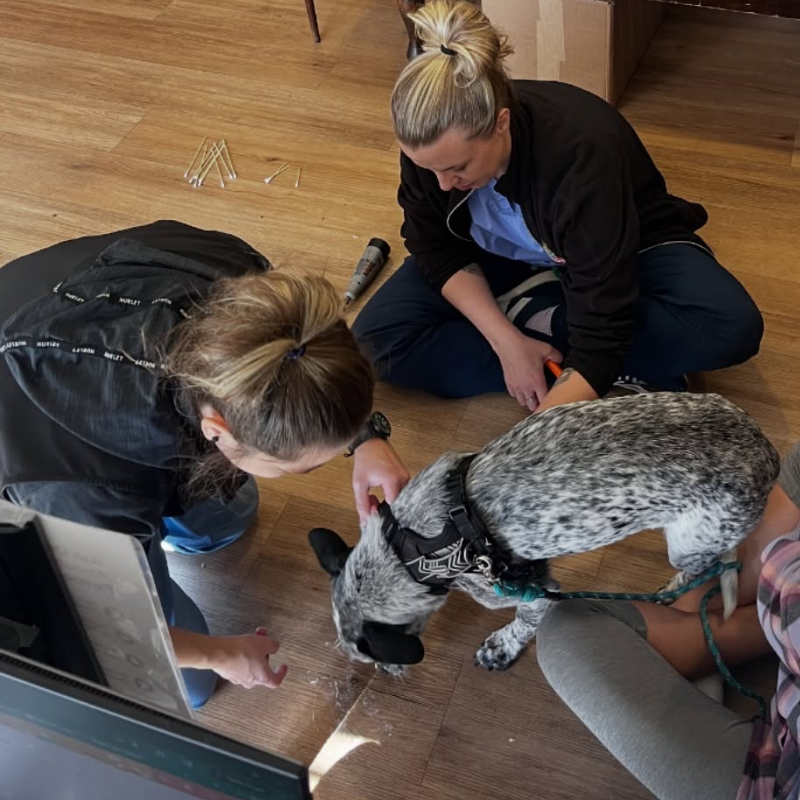 Highlands Animal Clinic