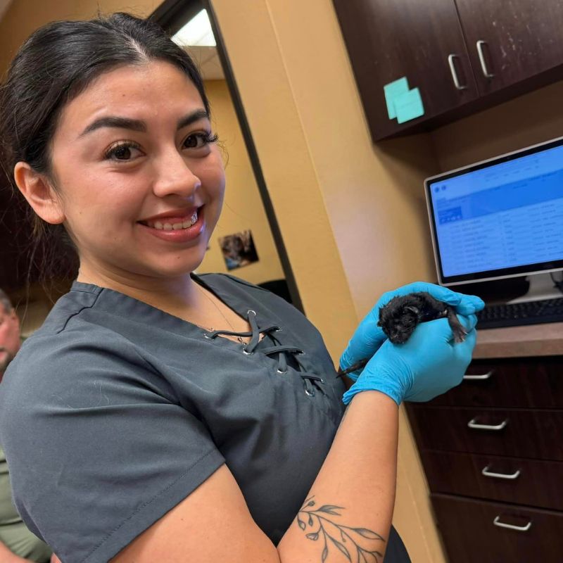 Lantana Animal Hospital