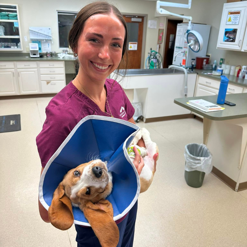 Laughery Valley Veterinary Hospital