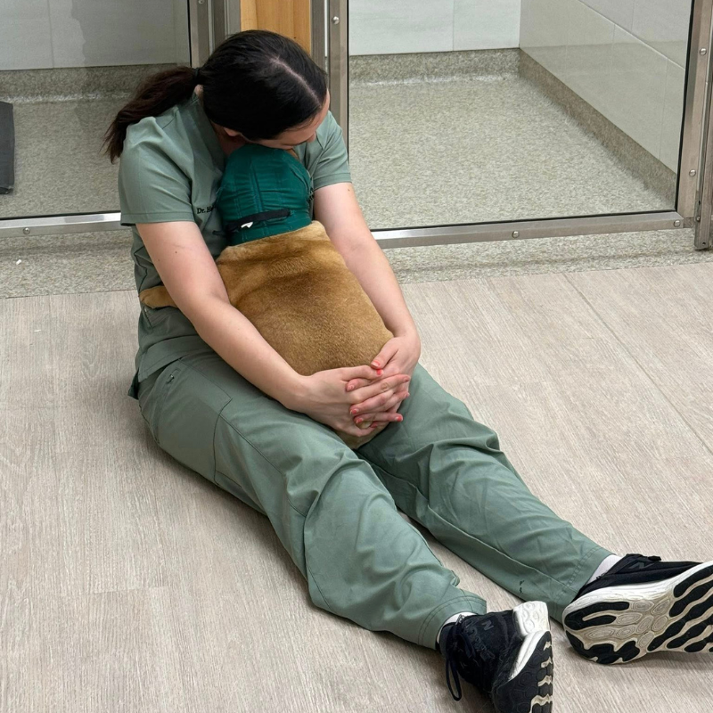 Mt. Spokane Veterinary Hospita
