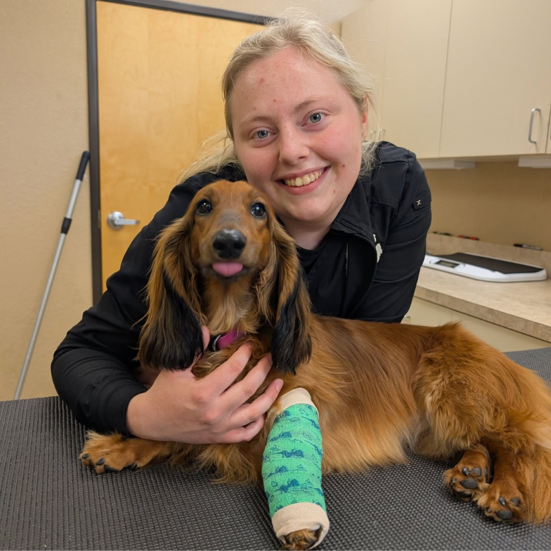 Northern Michigan Veterinary Hospital 