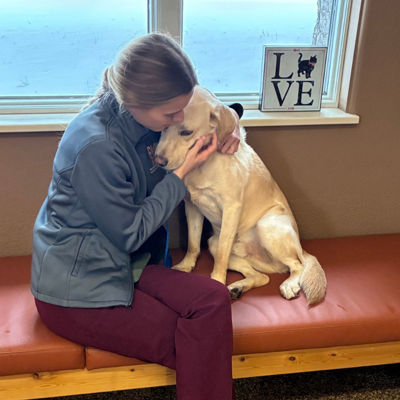 Northern Michigan Veterinary Hospital 