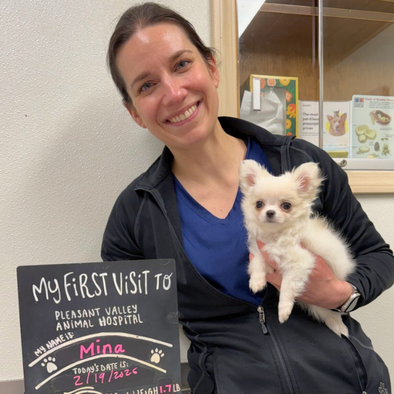 Pleasant Valley Animal Hospital