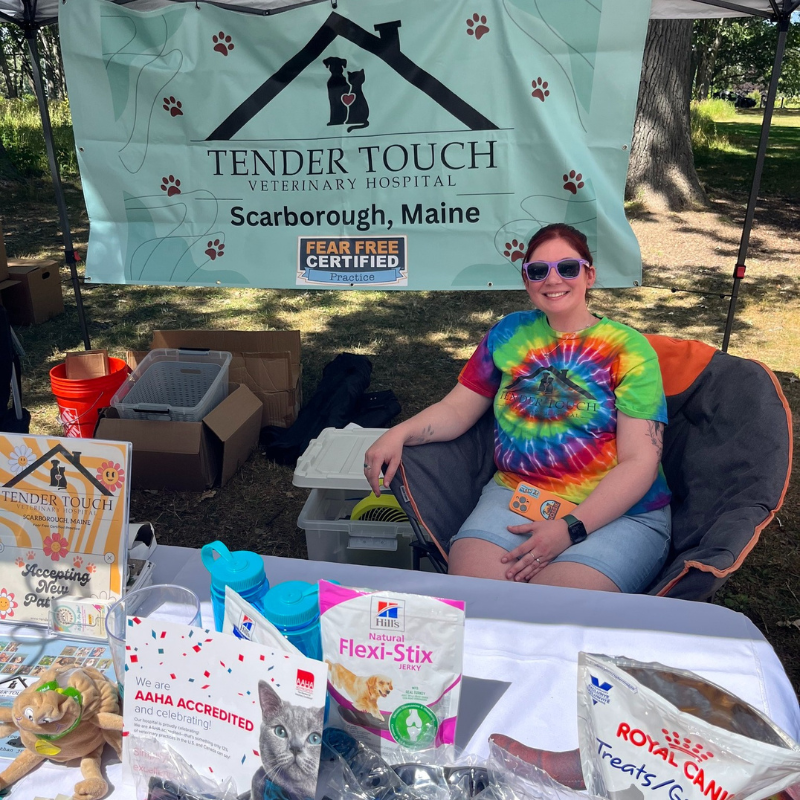 Tender Touch Veterinary Hospital 