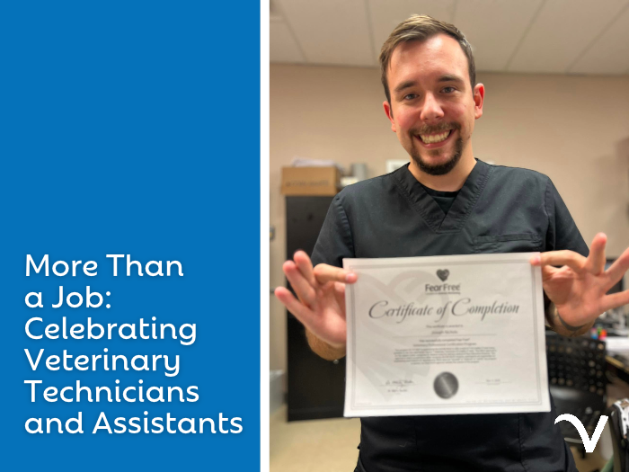 More Than a Job: Celebrating Veterinary Technicians and Assistants