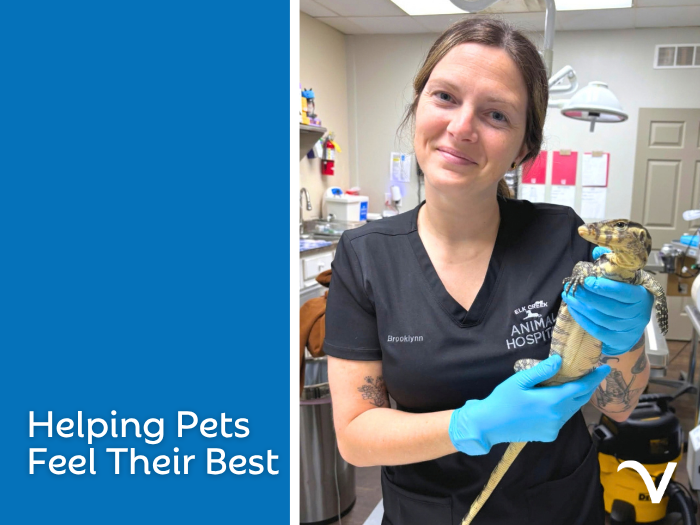 Helping Pets Feel Their Best